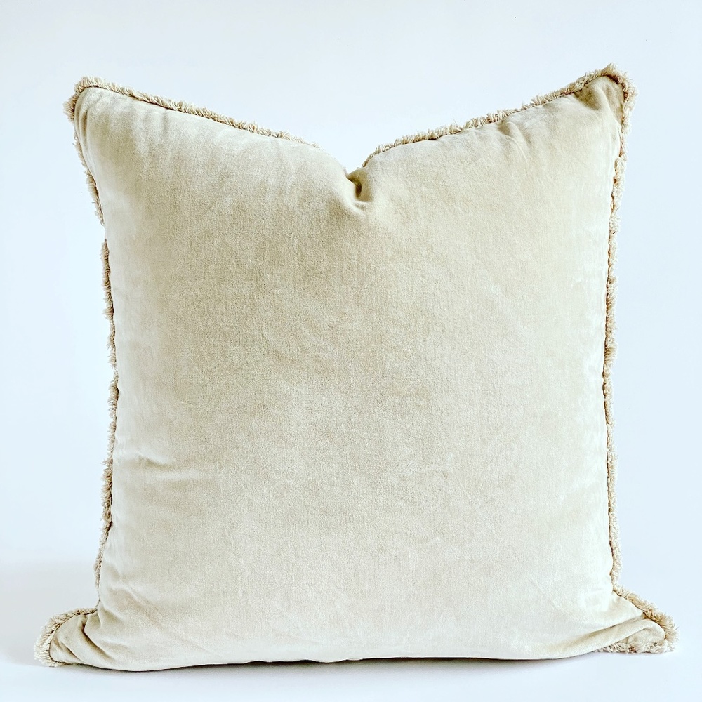 Velvet Fringed Throw Pillow Cover Pottery Barn22 x 22 NWOT
